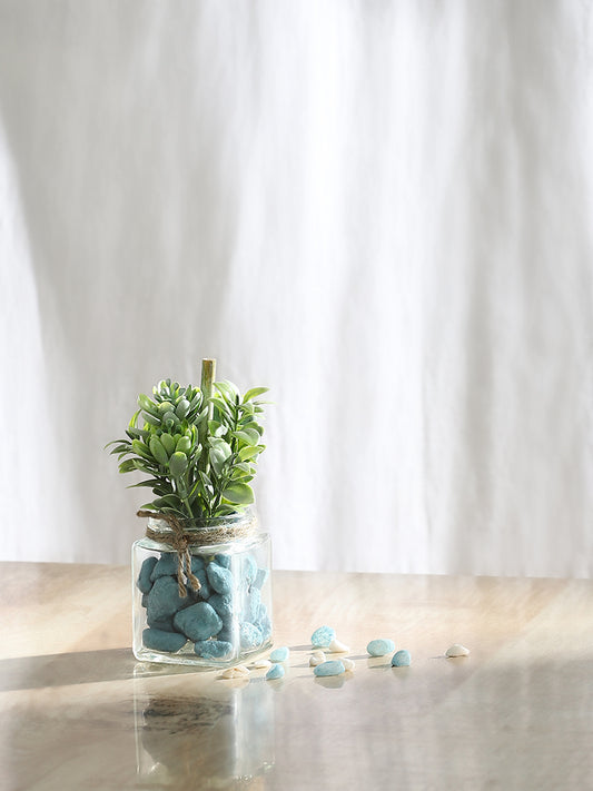 Misbu Atlantic Blue Glass Succulent Plant with Stones