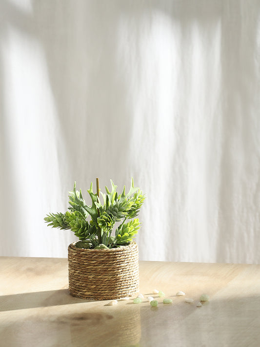 Misbu Brown Jute Circular Weaved Succulent Plant