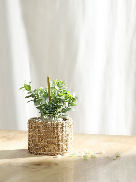 Misbu Brown Jute Square Weaved Succulent Plant