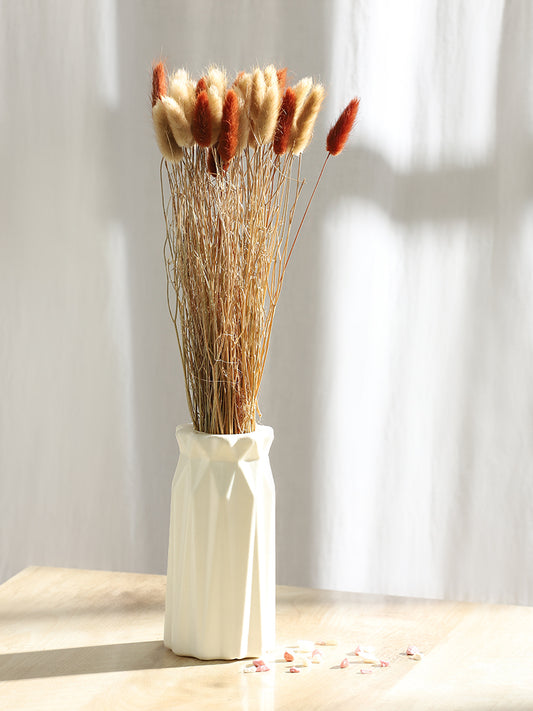 Misbu Brown Lagurus Bunch Dried Flower